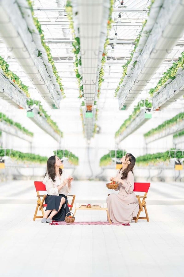 【防府・新山口発】大人のときめきバレンタインミステリーツアー 日帰り2